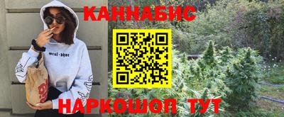 2c-b Новозыбков